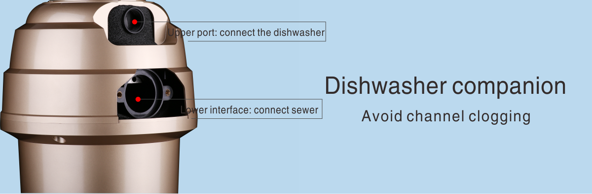 Dishwasher companion